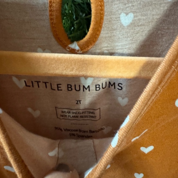 Bums & Roses Rustic Heart Ruffle Deess - Picture 2 of 3